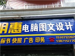 蔡甸在线 本土化软件开发服务的创新实践与价值探索